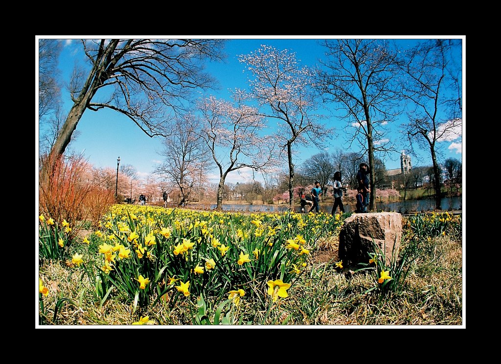 Branch Brook Park