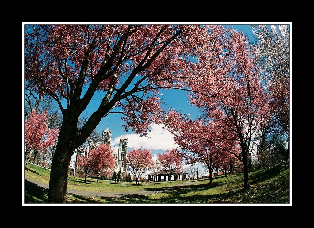 Branch Brook Park
