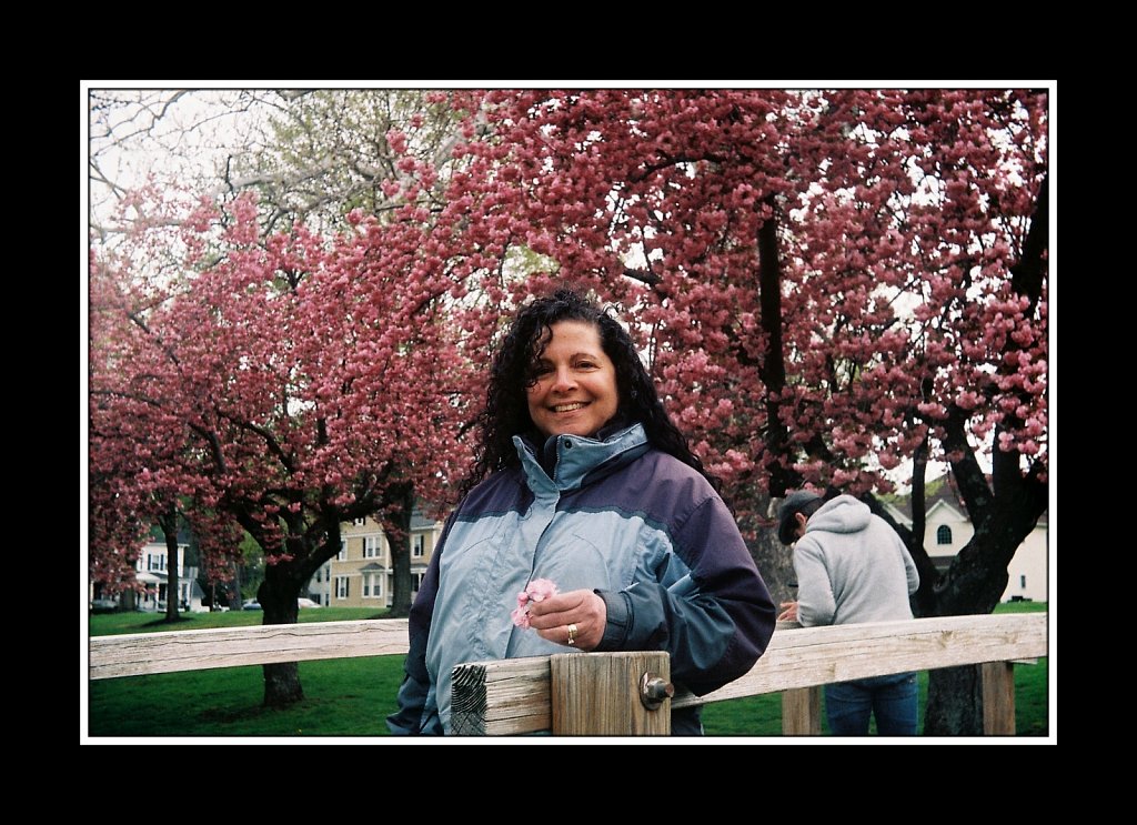 Blossoms at Hurd Park