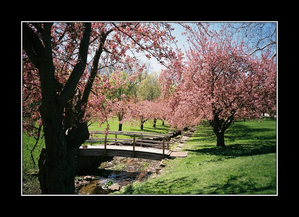 Minolta Freedom III