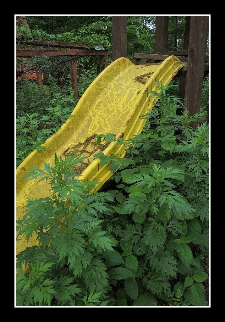 Overgrown