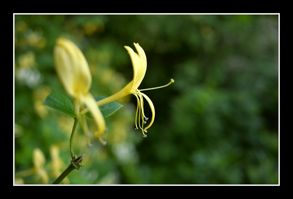 Along the Columbia Trail