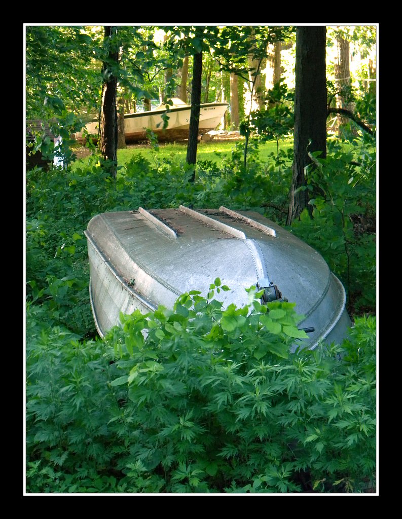 Boats Out of Water