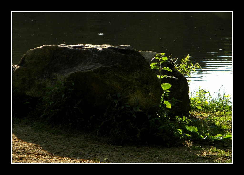 Schooley's Mountain Park