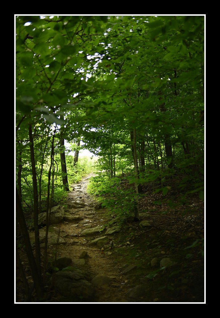 Schooley's Mountain Park