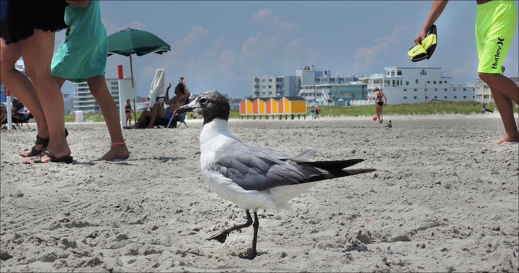 Wildwood Crest Beach