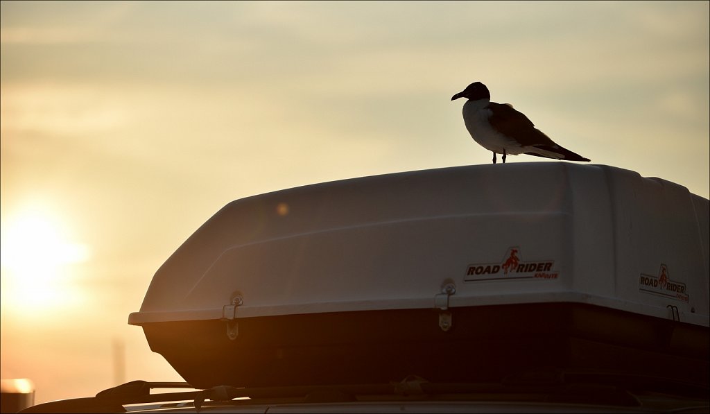 Sunset at Two Mile Landing