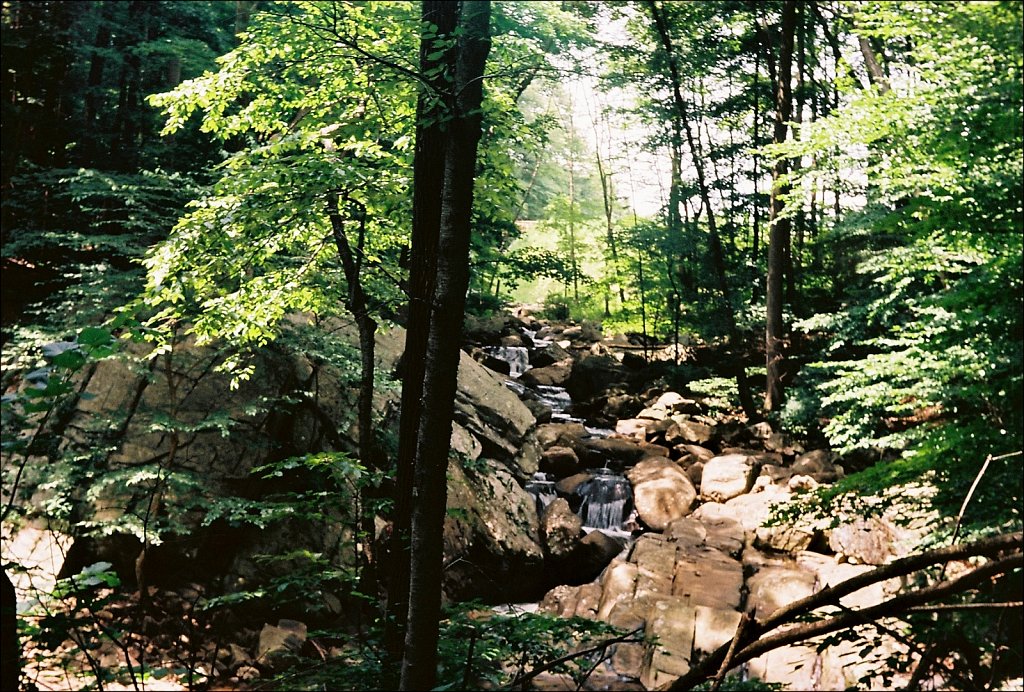 Schooley's Mountain Park