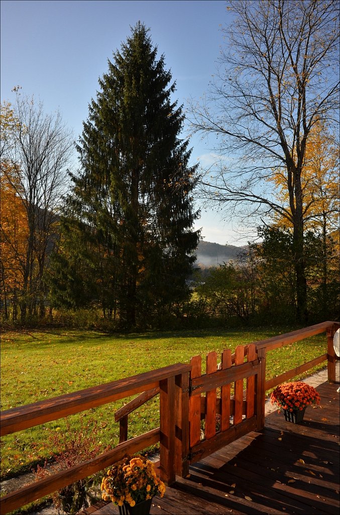 Fall 2019 NYS