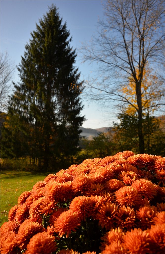 Fall 2019 NYS