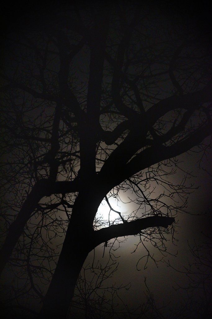 Moon Lighting