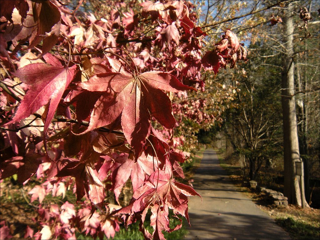 Willowwood Arboretum 