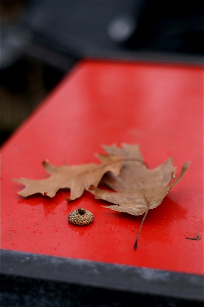 Oak On Grill - No Polarizer Filter