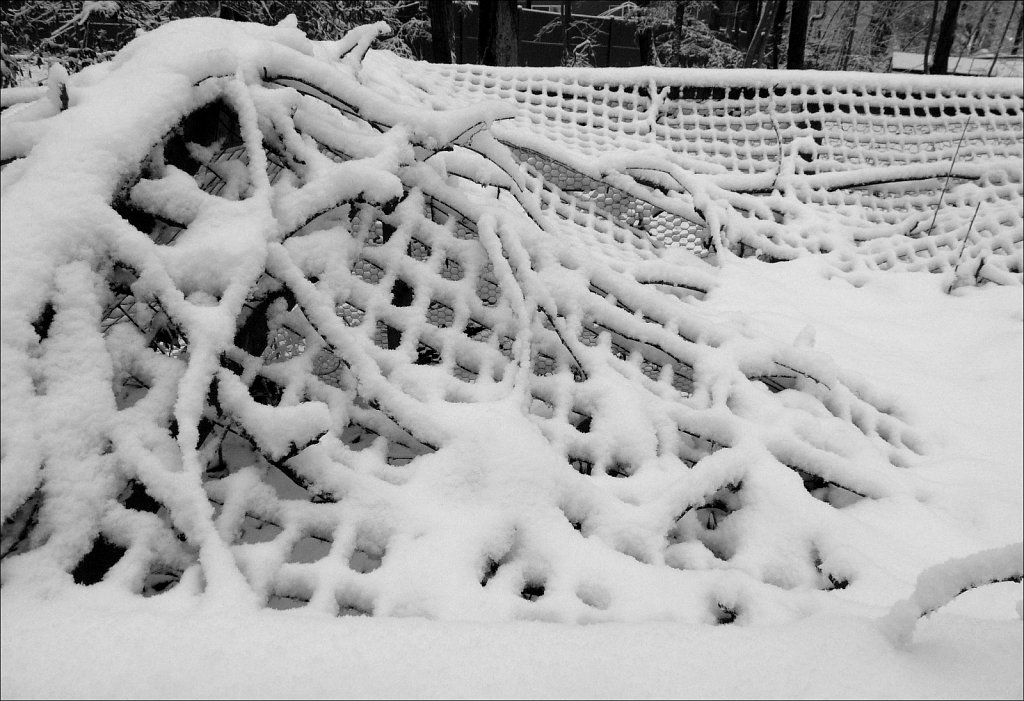 Around The Yard In The Snow