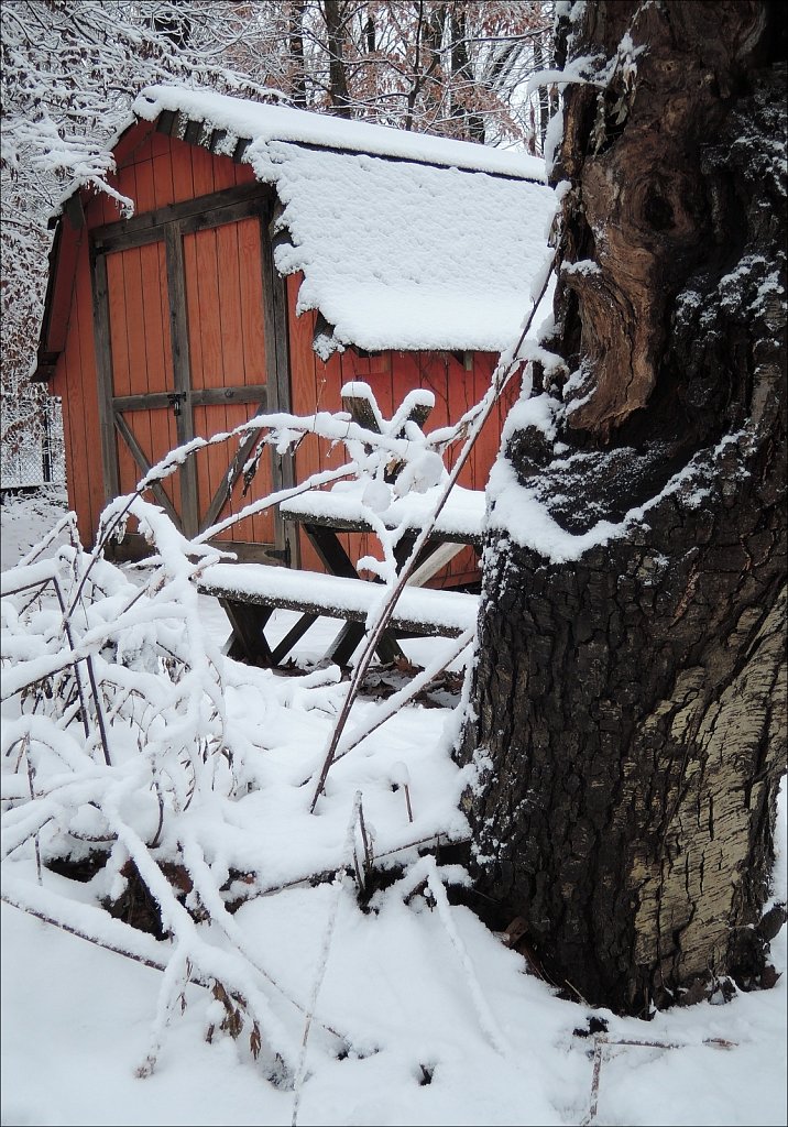Red, White and Snow