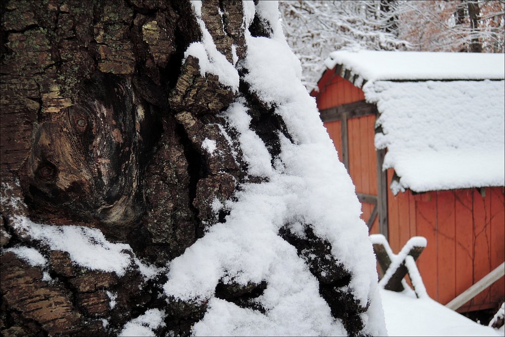 Red, White and Snow