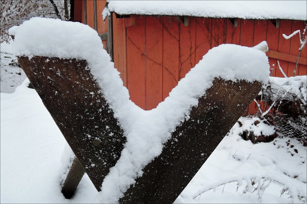 Red, White and Snow