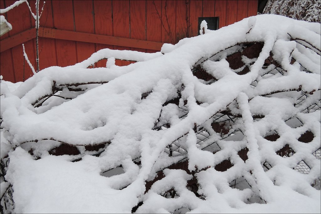 Red, White and Snow