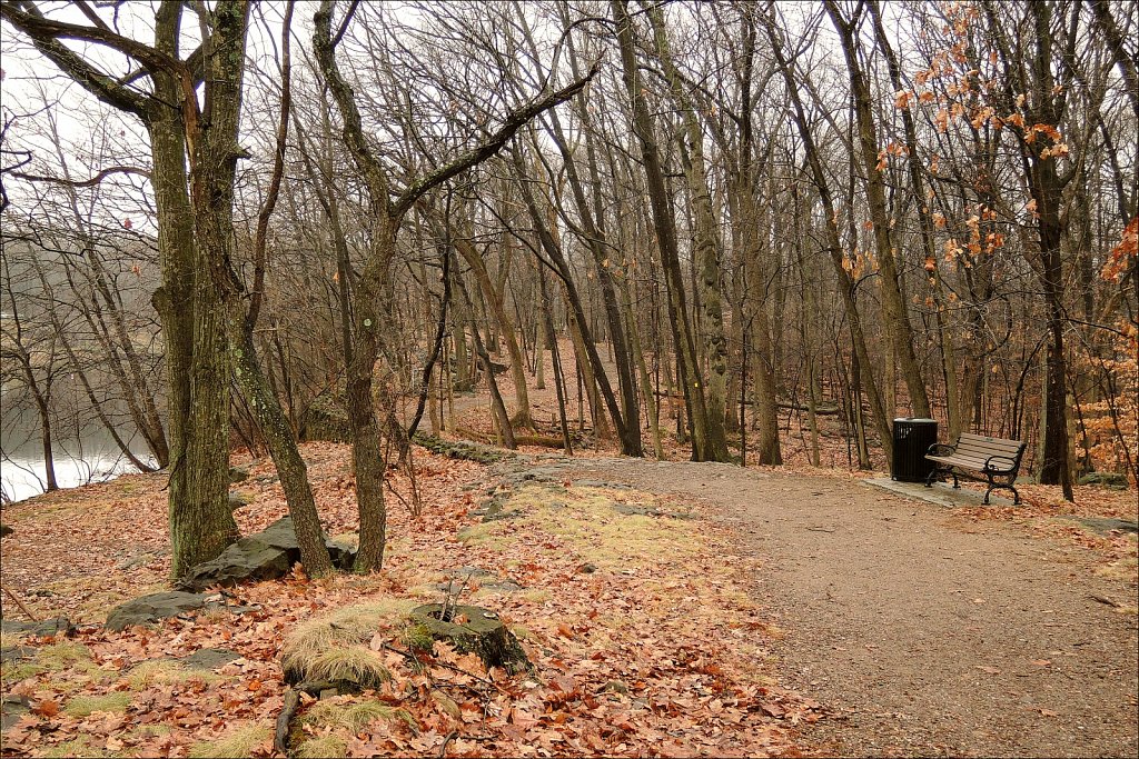 Garret Mountain Reservation