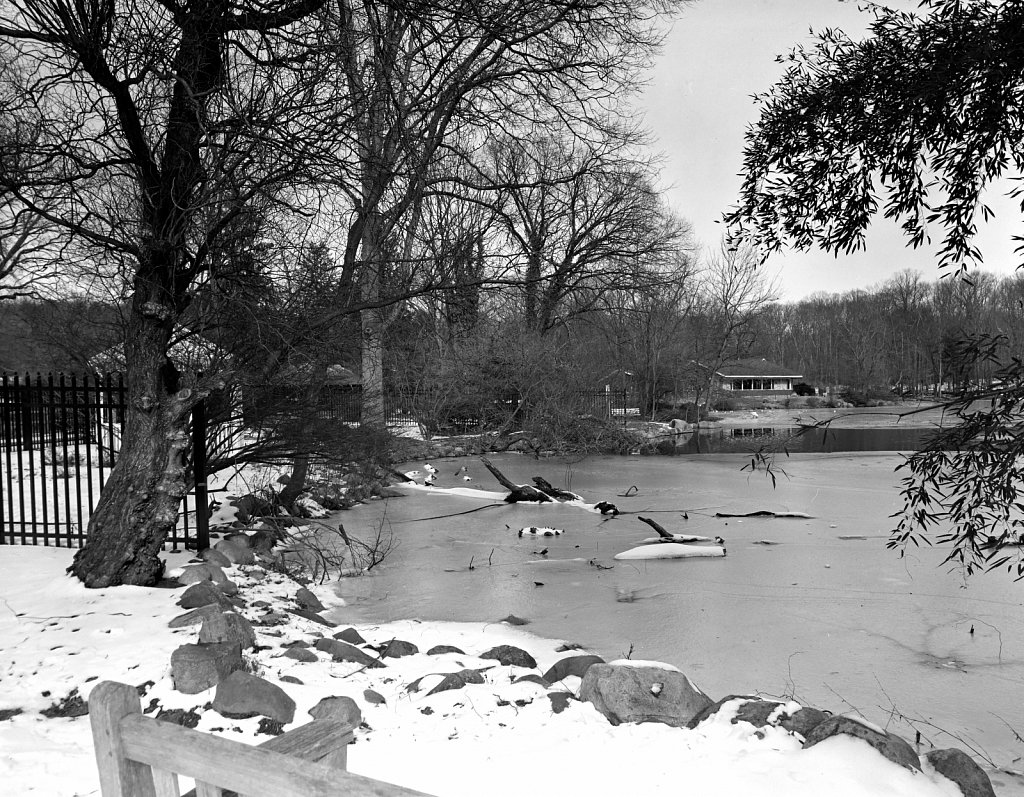 Wista 4x5 with Schneider 90mm F/5.6 Super Angulon 