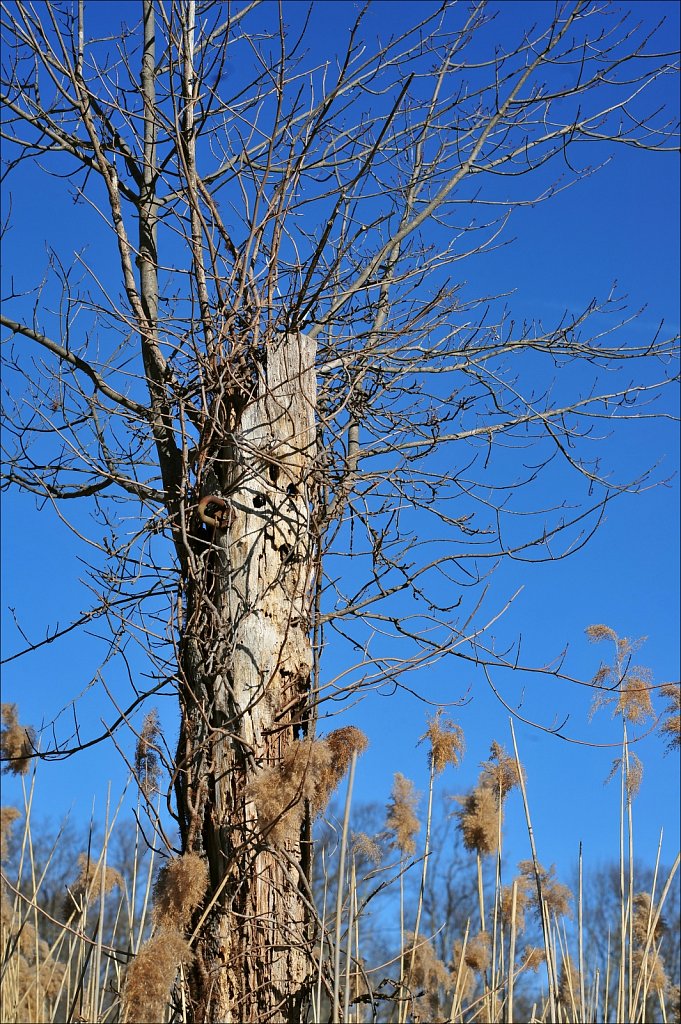 South Branch of the Raritan River