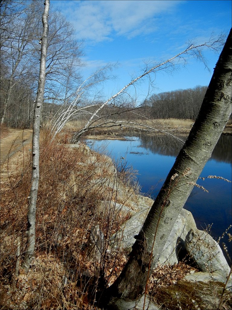 MAHLON DICKERSON RESERVATION 