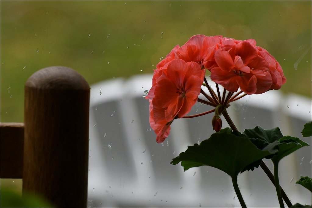 20 Photos On The Porch