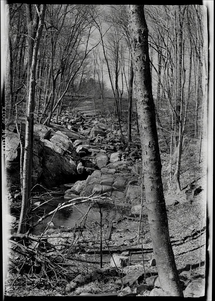 Schooley's Mountain Park