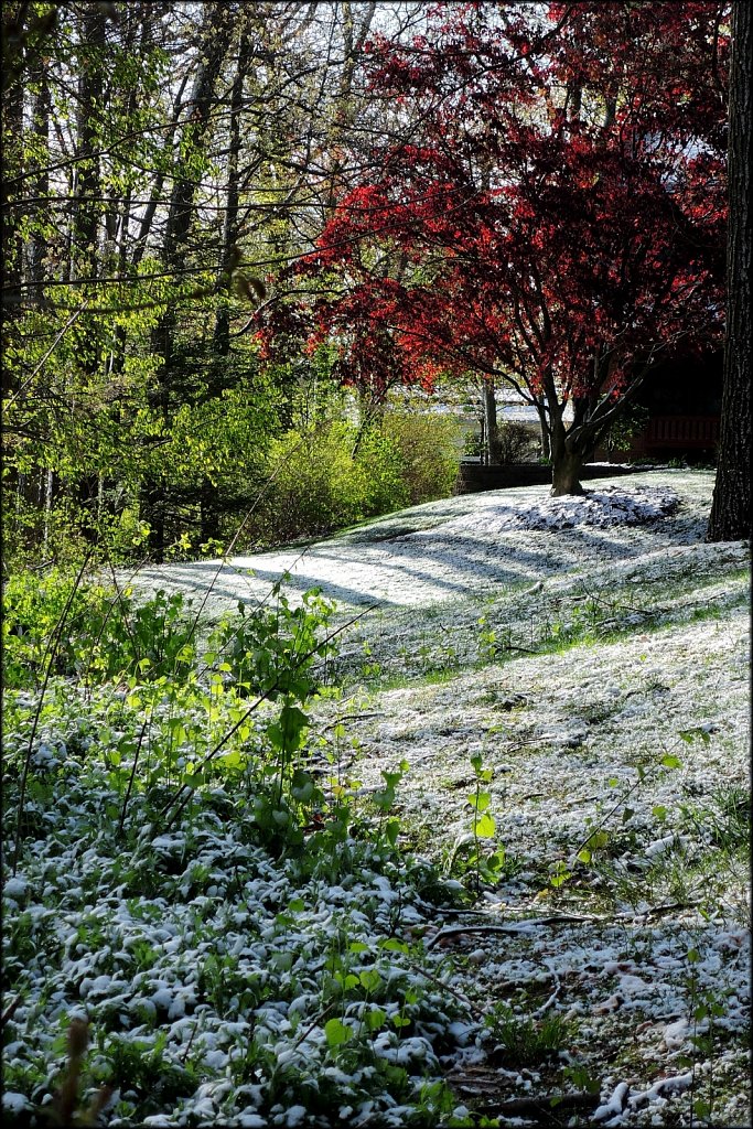 May It Snow