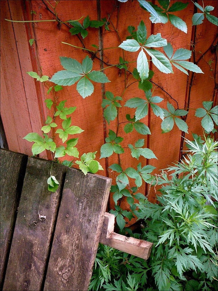 2020066F-P1020065.jpg