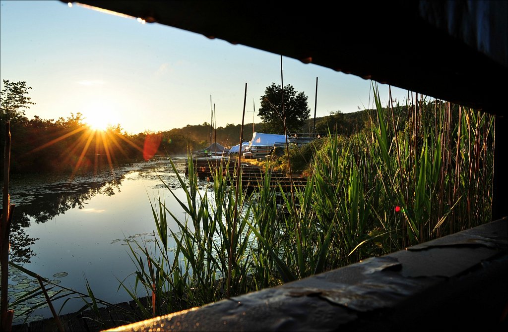 Sunrise at the South Branch