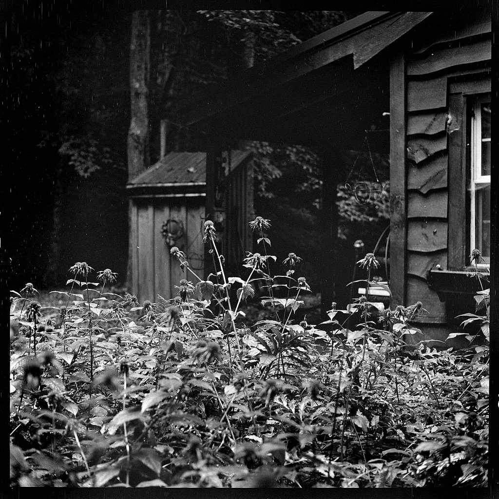 2020118F-Autocord-TriX-B-07.jpg