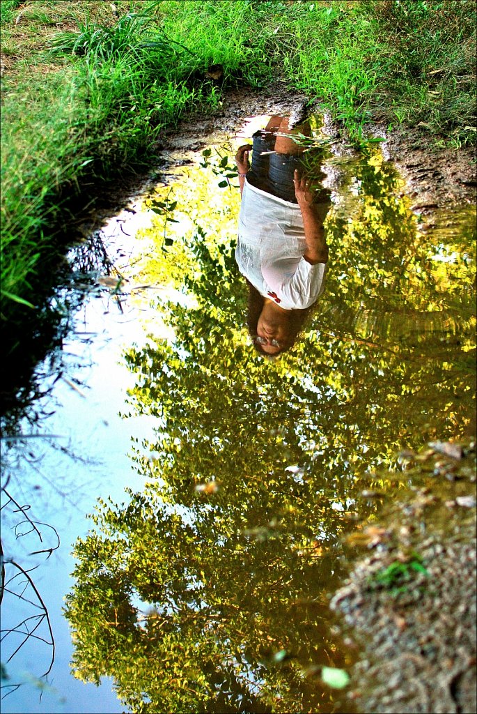 Maiers Pond