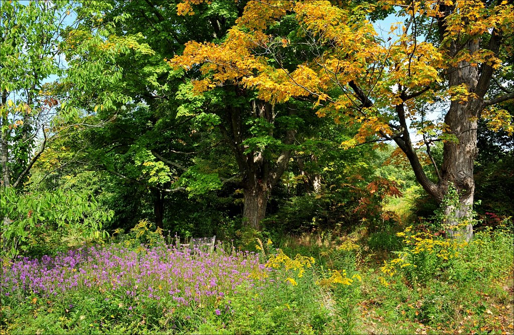 Skylands Manor - Ringwood State Park