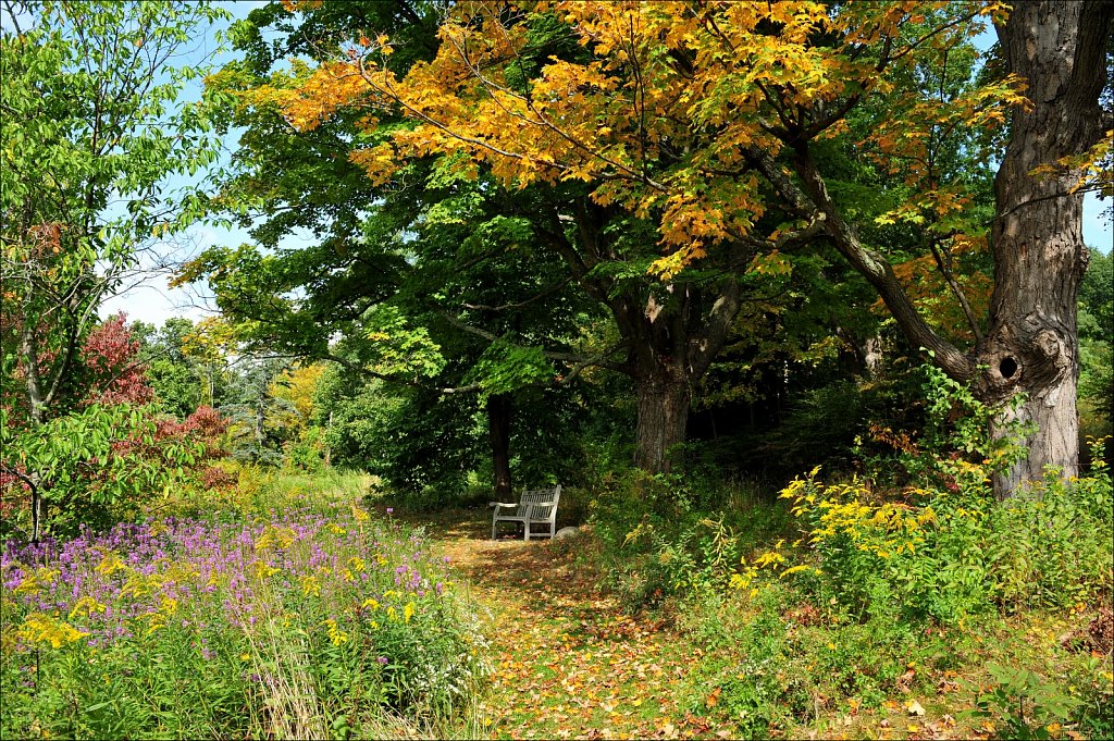 Skylands Manor - Ringwood State Park