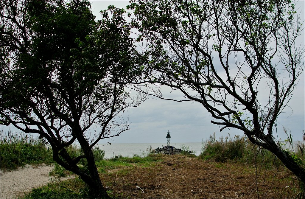 Higbee Beach 