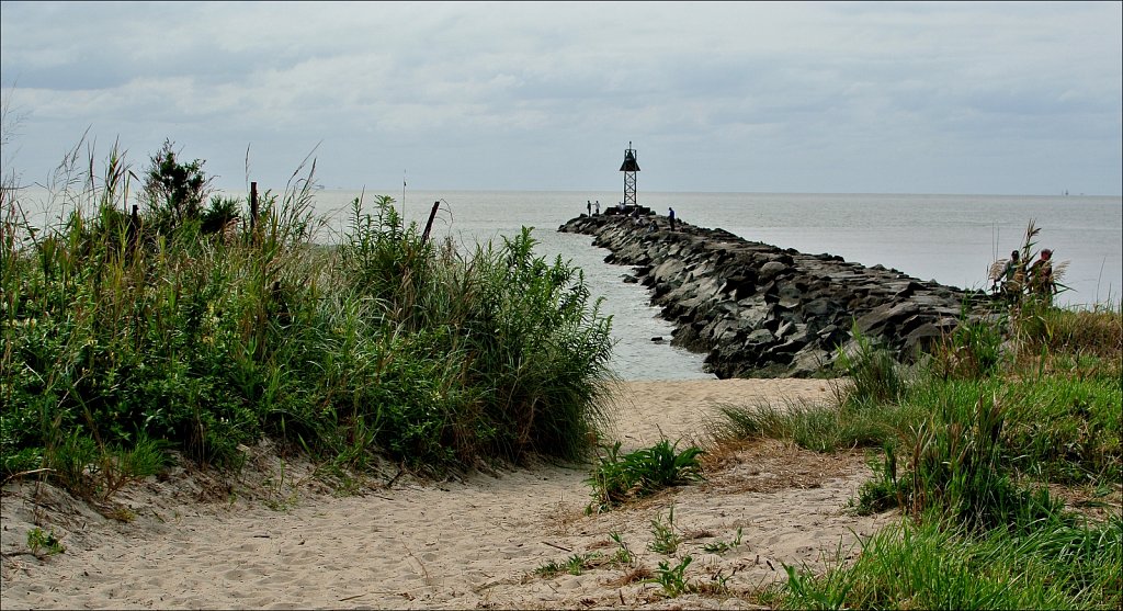 Higbee Beach 