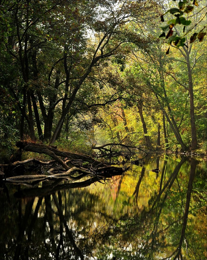 Musconetcong River