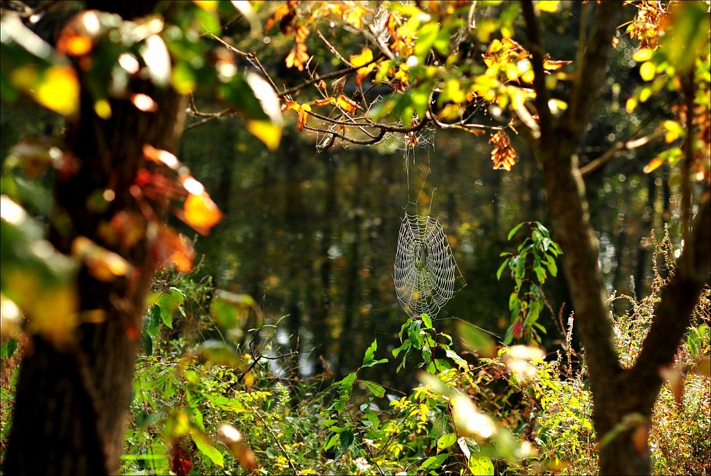 Musconetcong River