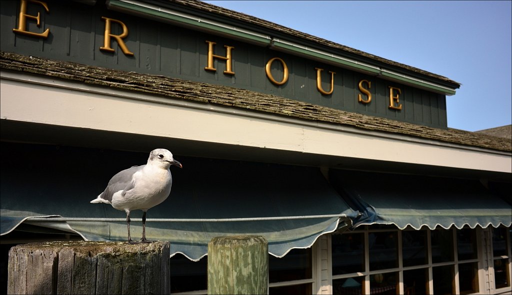 The Lobster House