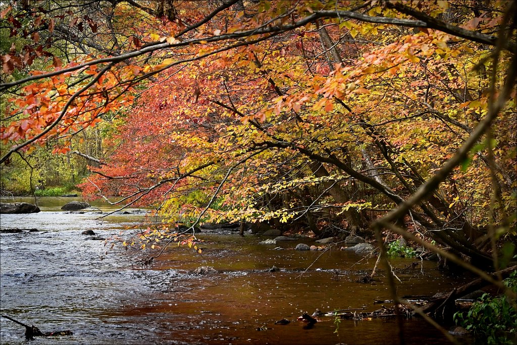 Stephens State Park