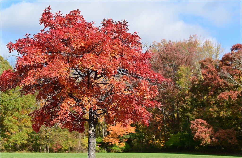 Schooley's Mountain Park