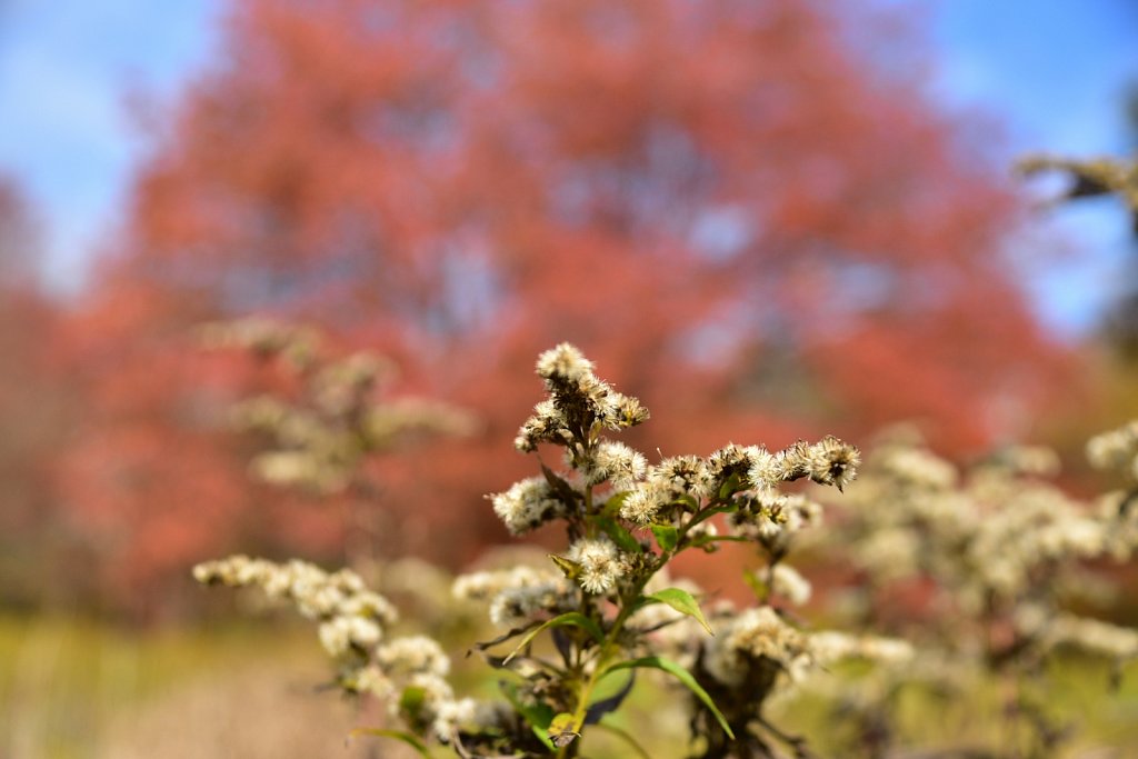 Schooley's Mountain Park