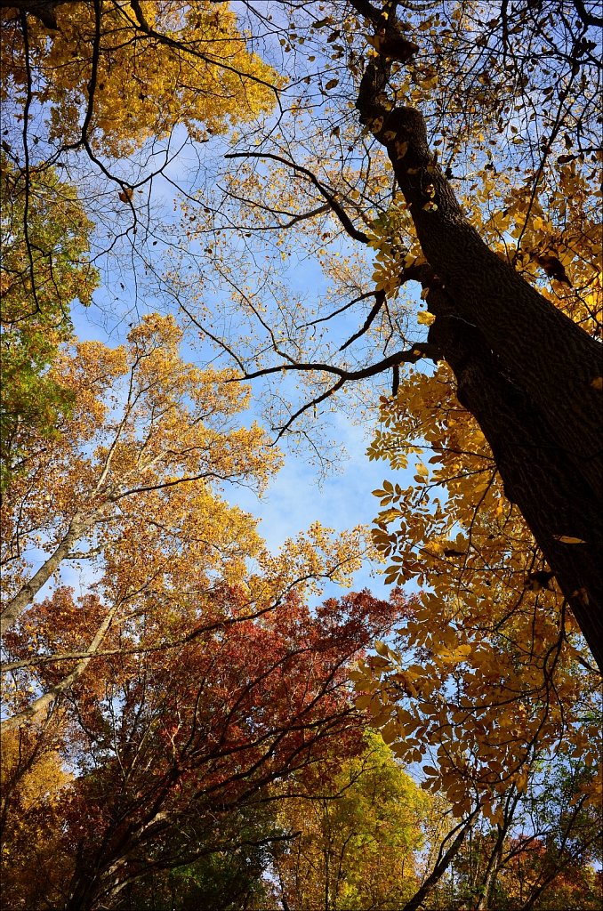 Stephens State Park