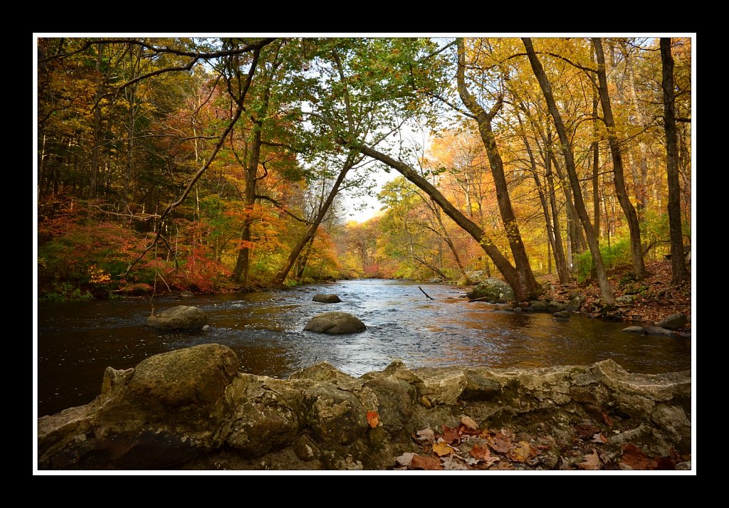 Stephens State Park