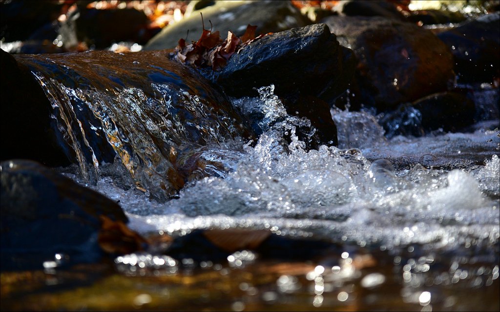 Hedden Park