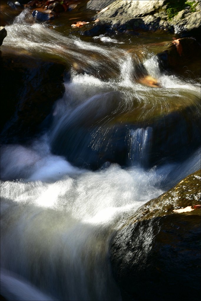 Hedden Park