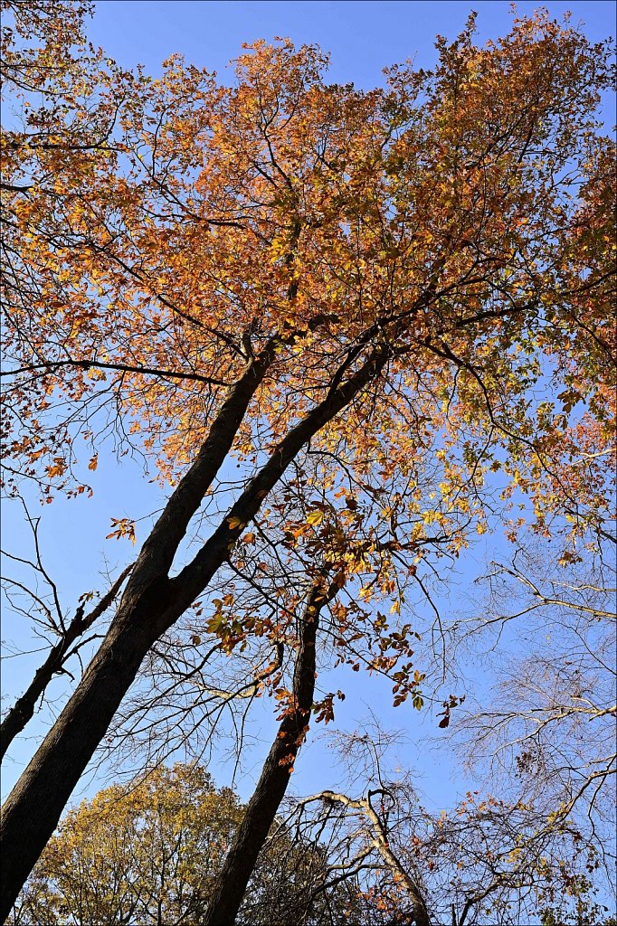Autumn 2020
