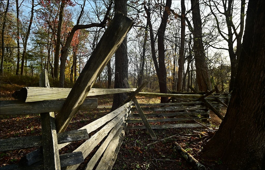 Jockey Hollow