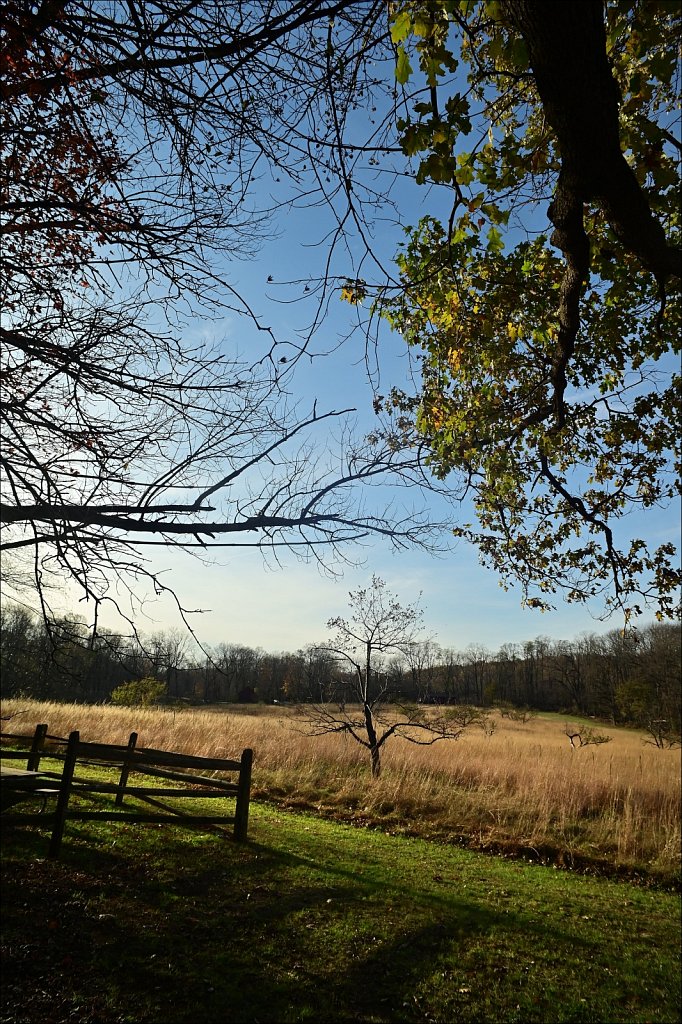 Jockey Hollow